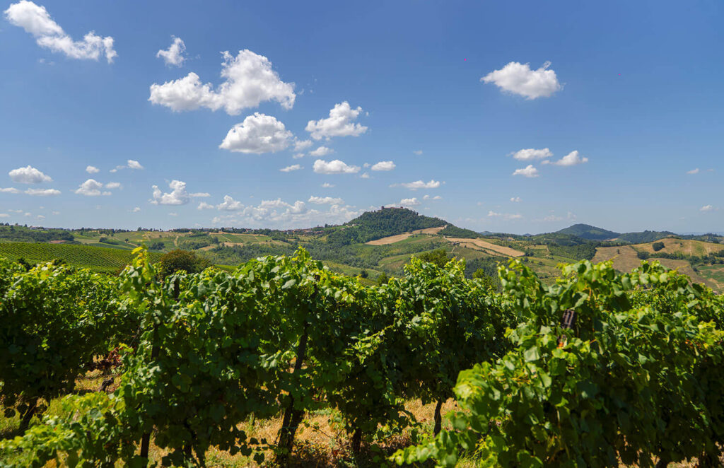 Podere Bignolino - Cantine Oltrepò Pavese - Viticoltori dal 1890